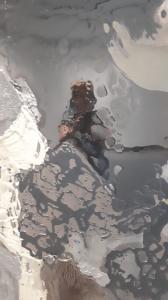 Leentje 05 Zelfportret